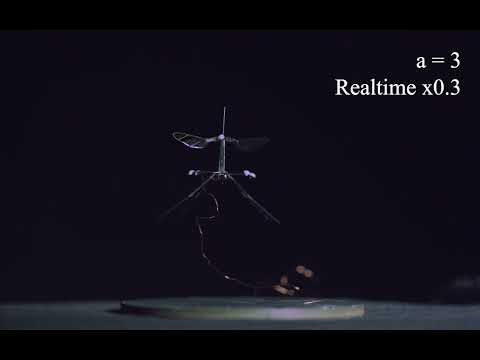 Insect-inspired strategies for safely landing flapping-wing aerial microrobots