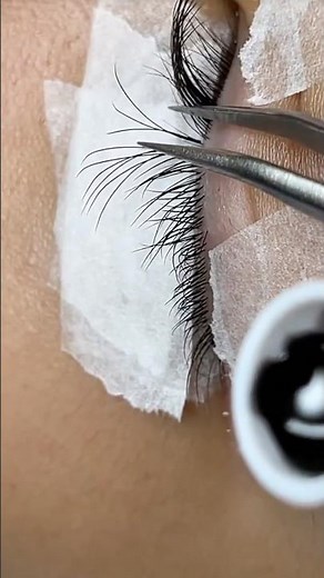 How to Apply 3D W Volume Lash Extensions #eyelashextensions #lashextensions #lashes