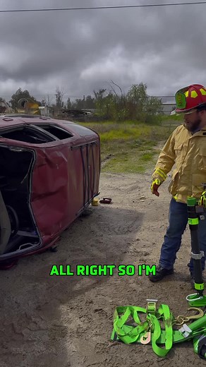 Mighty Struts on TikTok