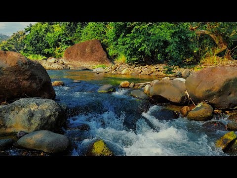Gentle Flow of Nature – River Sounds for Relaxation, Focus, and Inner Peace