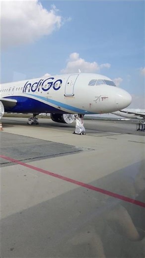 #✈️ IndiGo Flight Experience# Indigo flight status#reels#shortvideo#