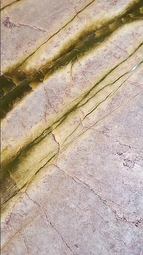 Serpentinite Cross Section #serpentinite #mineralspecimen #mineral