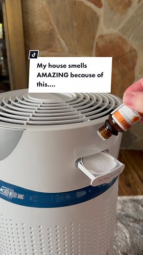 Improving Indoor Air Quality with HoMedics Air Purifier