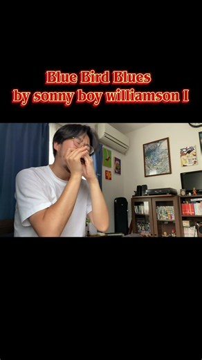 Blue Bird Blues by Sonny Boy Williamson I #blues #harmonica