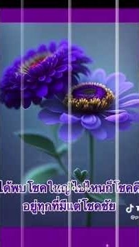 มัชฌิมาปฏิปทา: จงเดินทางสายกลาง จงมีสติรู้ทันทุกข์