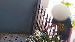 Moment alleged thief steals parcel from doorstep