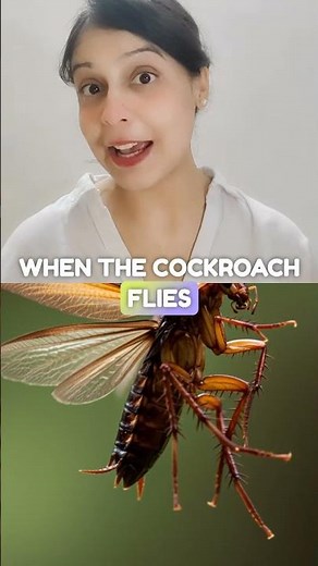 🐜🐟 How Cockroaches & Fish Move! | Animal Movement Explained | #Shorts #BiologyBasics #ncert #cbse