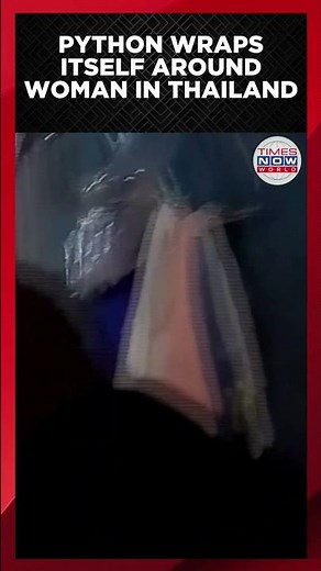 Python wraps itself around woman in Thailand #shorts #python