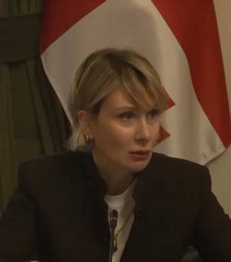 ამბავი #3- დისტრიბუტორთა ნაწილის განცხადებით, გარკვეულ პროდუქტებს მწარმოებელი საქართველოს ევროპის ქვეყნებზე ძვირად აწვდის #foryou #consumerrights #PriceCommission #economics