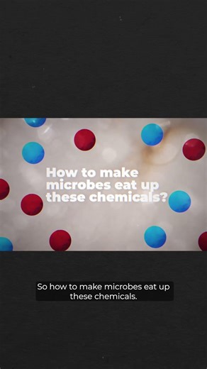 How Does Bioremediation Work?