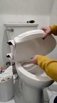 Replacement Toilet Seat - How to