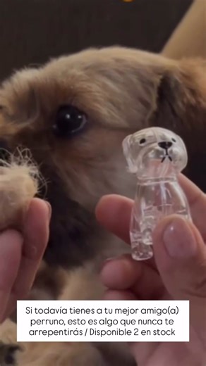 Si aún tienes a tu mejor amigo, este es algo que nunca te arrepentirás 🚚 Lima Metropolitana 💌 Más información al DM #ventaonline #family #love #limaperu🇵🇪 #puppy