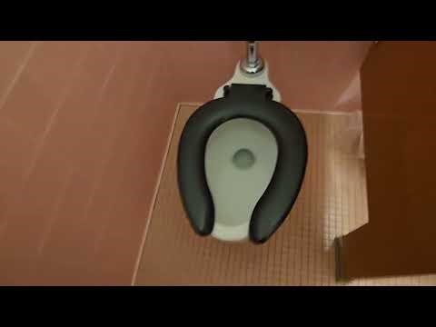 1960s Coral Pink Women's Dorm Bathroom Walkthrough: Unknown Vintage High-Flow Toilet