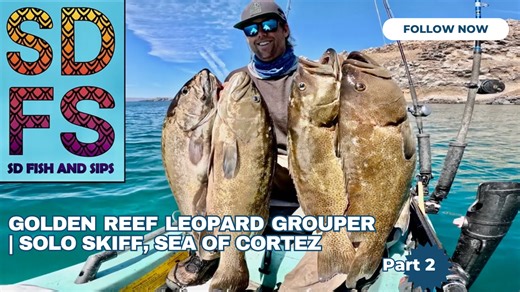 Golden reef leopard grouper fishing on a solo skiff in the Sea of Cortez part 2
