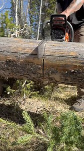 5K reactions · 28 shares | Cutting firewood 蝹 #chainsaw #logging #husqvarna #firewood #husqvarnachainsaw #logger ##stihlchainsaw #stihl #treework #treework #treeworker #woodwork #woodworker | Diamond Z Outdoors | Facebook