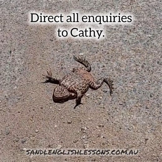 Cane Toad On Its Back