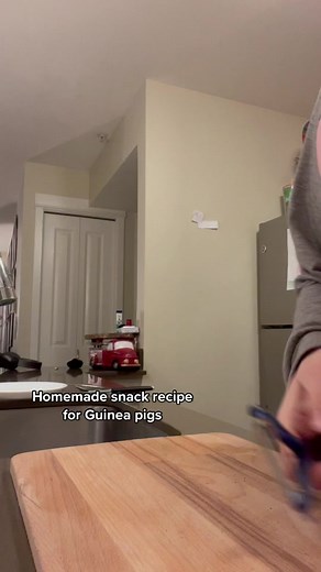 Homemade Snack Recipe for Guinea Pigs | Vegetable Peeler Orange Treat
