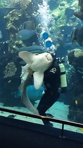 Fish tickling... | Angling Direct Hull