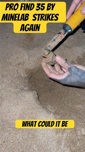 Best pinpointer by minelab #shortsfeed #metaldetecting #minelab