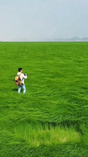 Discovering the Shape of Wind | Unveiling the Beauty of Nature