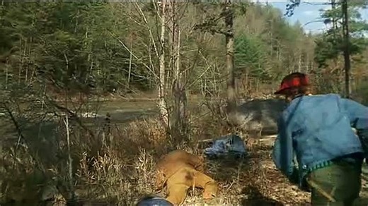 BLASTFIGHTER        (Lamberto Bava; Azione; 1984)