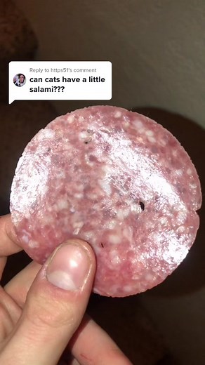 Can Cats Have Salami? Exploring Feline Diets
