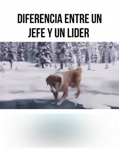 Diferencia entre lider y jefe.