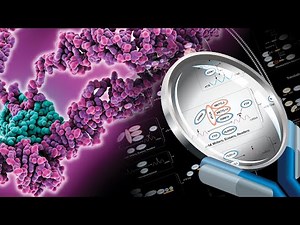 Deciphering the role of RNA-binding proteins in neurodevelopment and disease