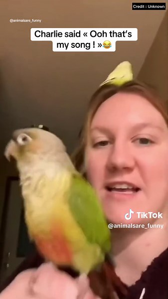 Funny Animals Compilation - Try Not to Laugh