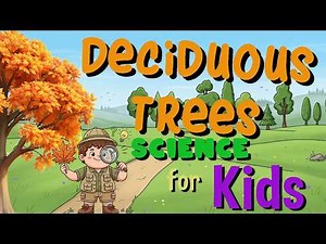 Deciduous Trees | Science for Kids