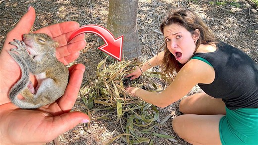 From nest to rescue: Saving a baby squirrel’s life
