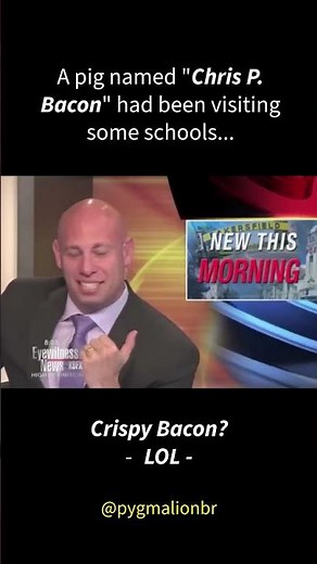 Repórter de TV não consegue parar de rir com a visita de um porco à sala de aula | O momento mais...