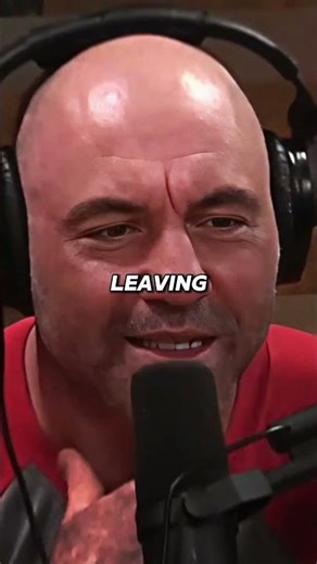 Why Lions Are Better Hunters Than Wolves