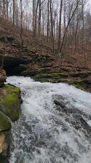 The Mill Creek Blow Hole is on the Tennessee trail to the Walls of Jericho. The Walls of Jericho are located in Franklin County, Tennessee and Jackson County, Alabama. #outdooradventuresintennessee #simplelifebigadventures #Tennessee #ExploreTennessee #tennesseewaterfalls #tnstateparks #DiscoverTennessee #hike #hiking #wallsofjericho #alabama Simple Life, Big Adventures | Outdoor Adventures in Tennessee