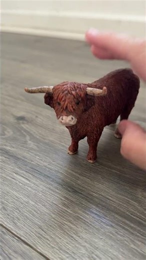Very realistic cow!