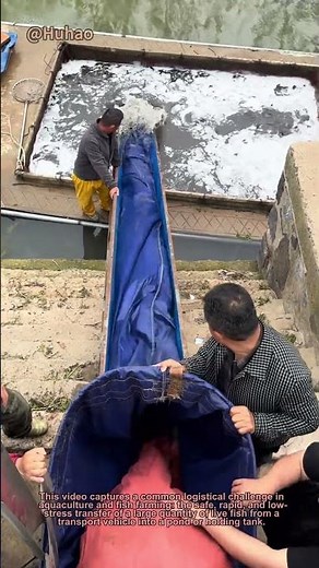 "Smart Fish Transfer: How to Move Fish from Truck to Pond in Seconds"