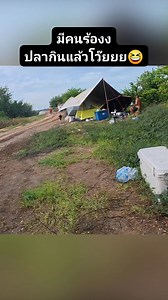 ปลากินแล้วววโว้ยยยยย Fin Feab Thailand คว่ำทุกที 🤣 #ตกปลาหน้าดิน #ปลาบึก #tigonhook | Tup Meesupwatana