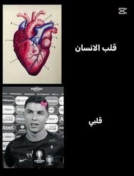 صباح الخس الكرستيانو عمك وبس🤍