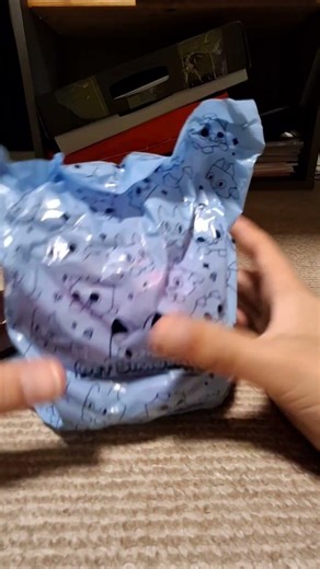 unboxing pet sim merch (someone stole code )
