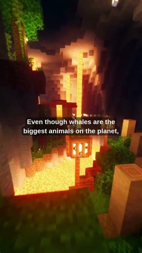 Here's 3 facts that only 0.1% of people know. part 1