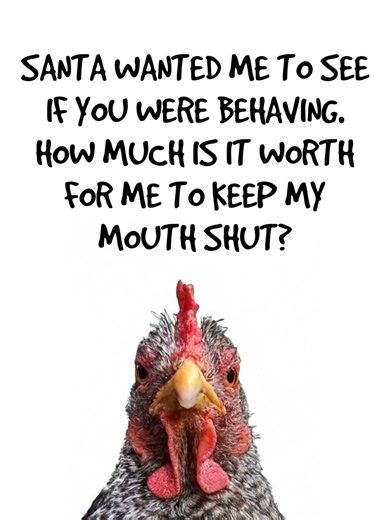 1.3M views · 23K reactions | #imagrumpychicken #petchickens #santa #chickens #herecomessantaclaus | Grumpy Chickens | Facebook