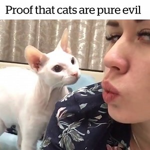 3.1M views · 39K reactions | Just wait for it...  Credit: ViralHog | VT | Facebook