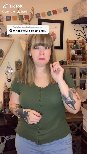 Reply to @megustalation Turquoise covered bull skull. #skullsandcrystals #turquoise #bullskull #crystalsoftiktok #skull #crystals #turquoise