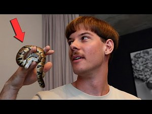 SIE WIRD IHN HASSEN!!