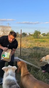 35K views · 584 reactions | Am găsit cea mai faină mâncare de câini în magazinul oamenilor faini de la Boopr.ro Super calitate a ingredientelor și un proces de prelucrare ce păstrează substanțele nutritive in bobite astfel încât în stomacul prietenului tău să ajungă sănătate curată #romania #caini #awp_oradea #dresaj #romaniamagica #romania #bucuresti #cluj #timisoara | Angels With Paws Oradea | Facebook