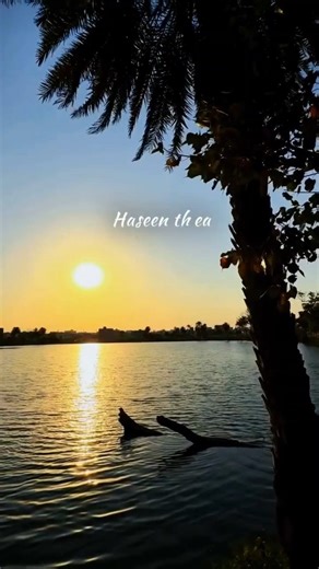 Jo Bhi Kasmein khayi -Alka Yagnik | Udit Narayan 🎶💗 #shorts #lyricvideo #romanticsong #status