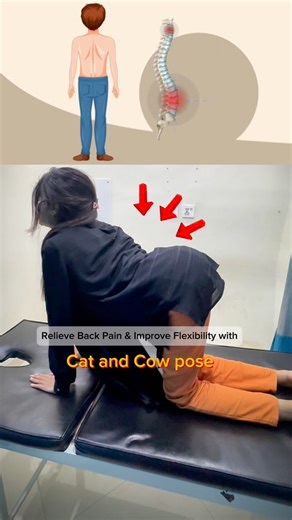Dr. Mehreen Mazhar (Physiotherapist & Certified Chiropractor) | The Cat-Cow Pose is a simple yet powerful movement that enhances spinal mobility, reduces stiffness, and improves posture. It’s especially... | Instagram