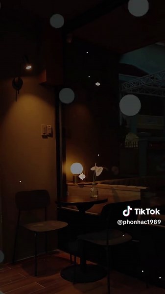 Thuở xưa đôi mình từng yêu đấm say... [ Sầu Thương ] #sauthuong #nhacbuontamtrang #tramcamxuc💔 #maucapcut #phonhac