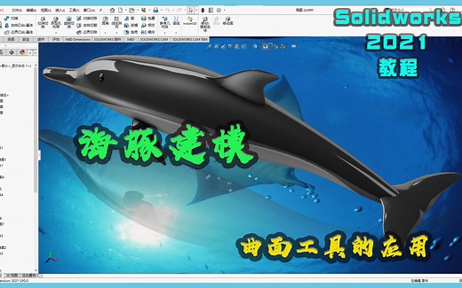 Solidworks海豚曲面设计教程
