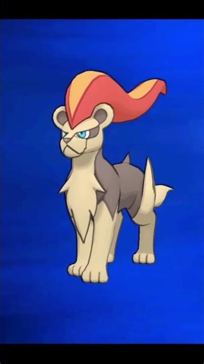 litleo Evolves into Pyroar #pokemon #pokemonevolution #gamingshorts #gaming #shortsfeed #shorts